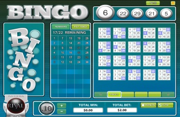 Bingo by Rival